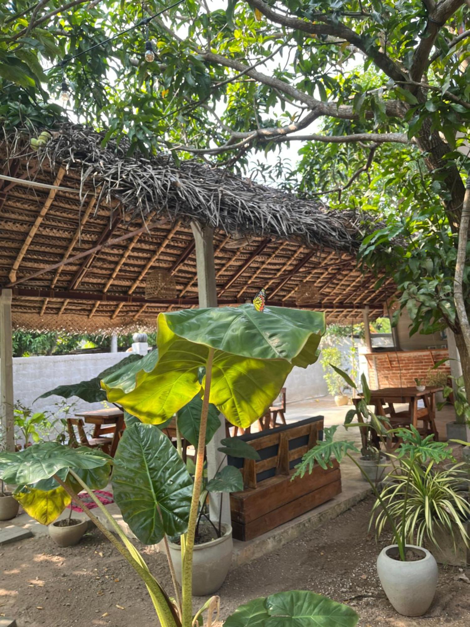 Ferienwohnung Avalon Weligama Exterior foto